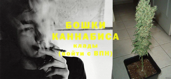 COCAINE Белокуриха