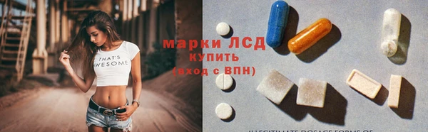 индика Слюдянка
