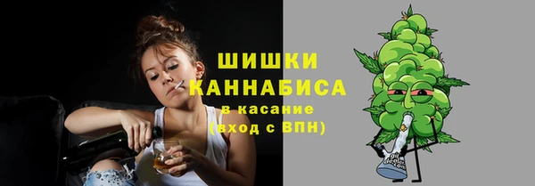 дмт Богданович