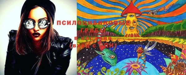 ПСИЛОЦИБИНОВЫЕ ГРИБЫ Снежинск