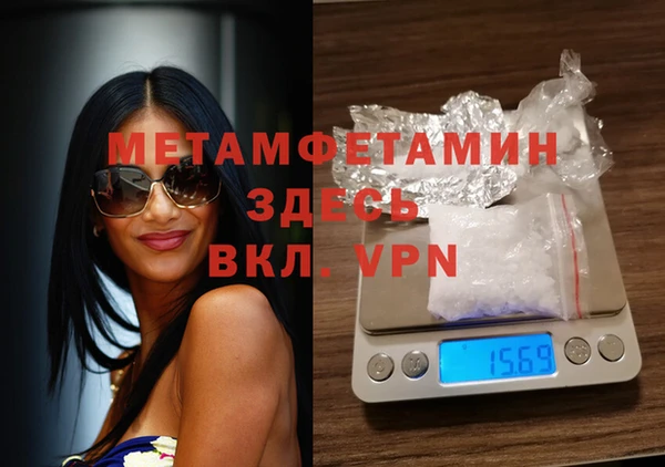 дмт Богданович