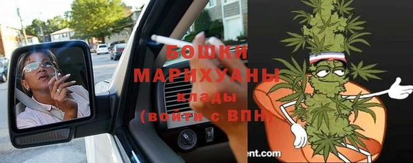 стаф Богородицк