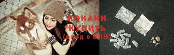 стаф Богородицк